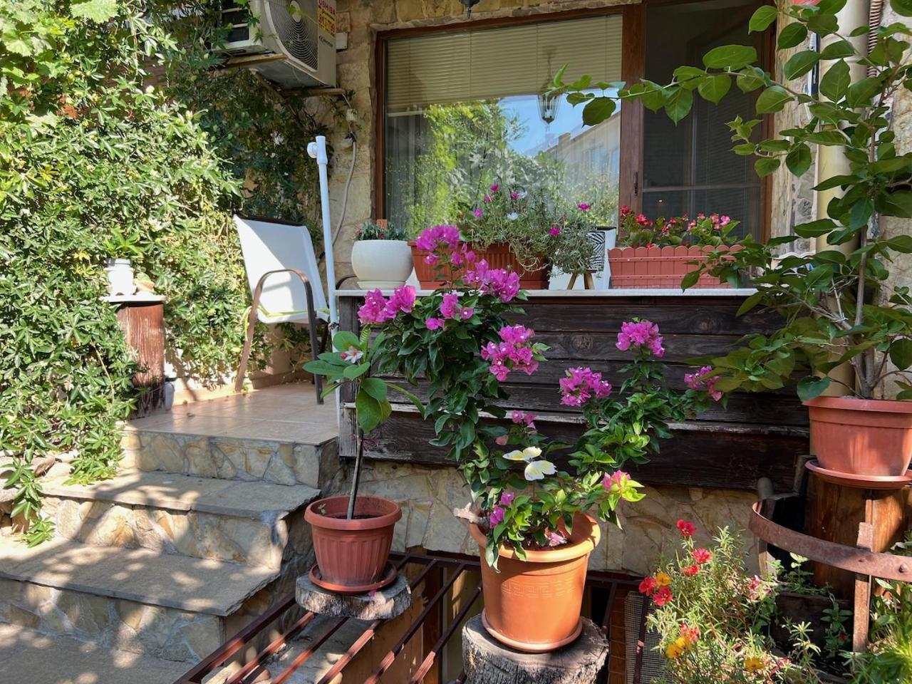Family Hotel Emilia โซโซโปล ภายนอก รูปภาพ